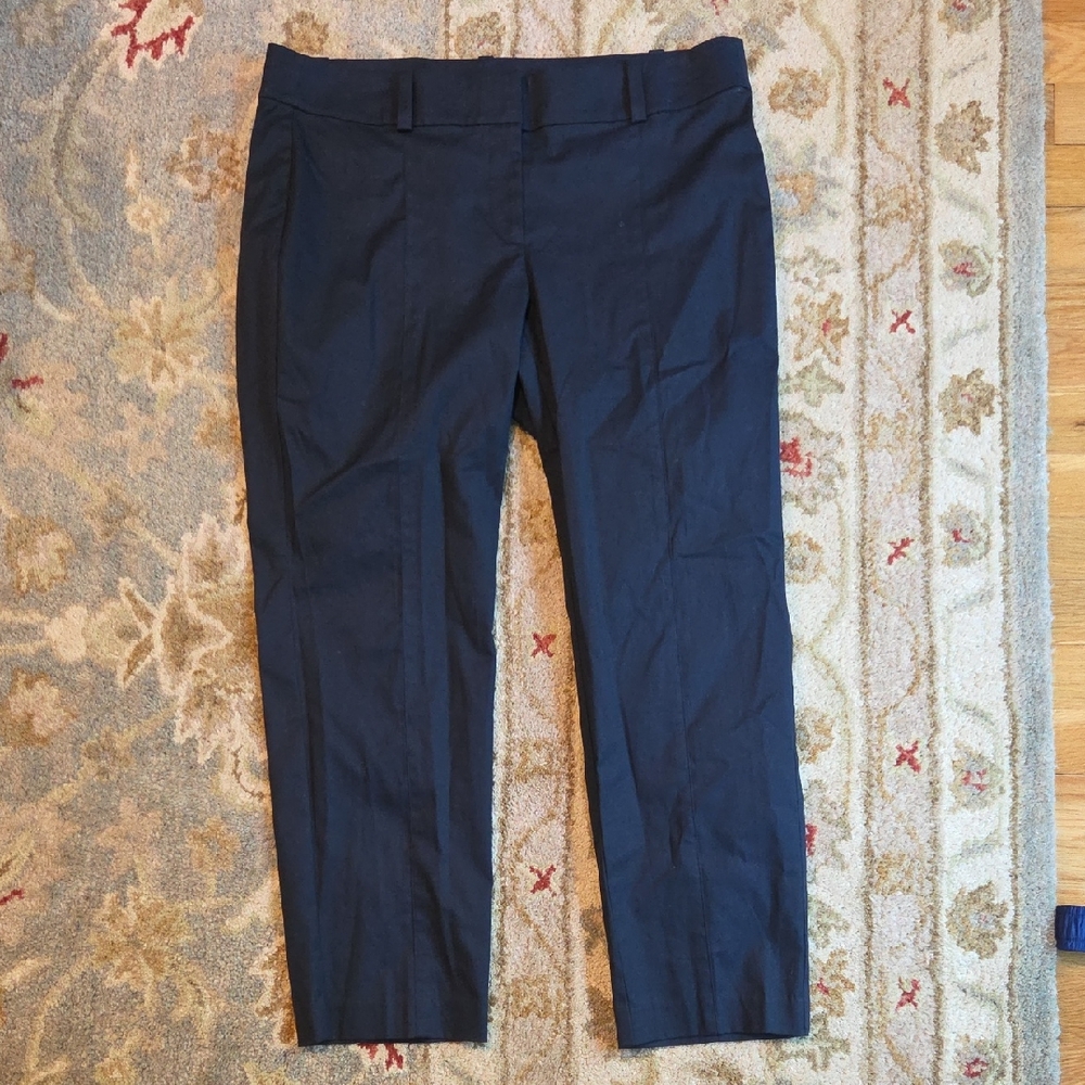 Ann Taylor Navy Carnegie Crop Pants